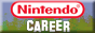 Nintendo Career